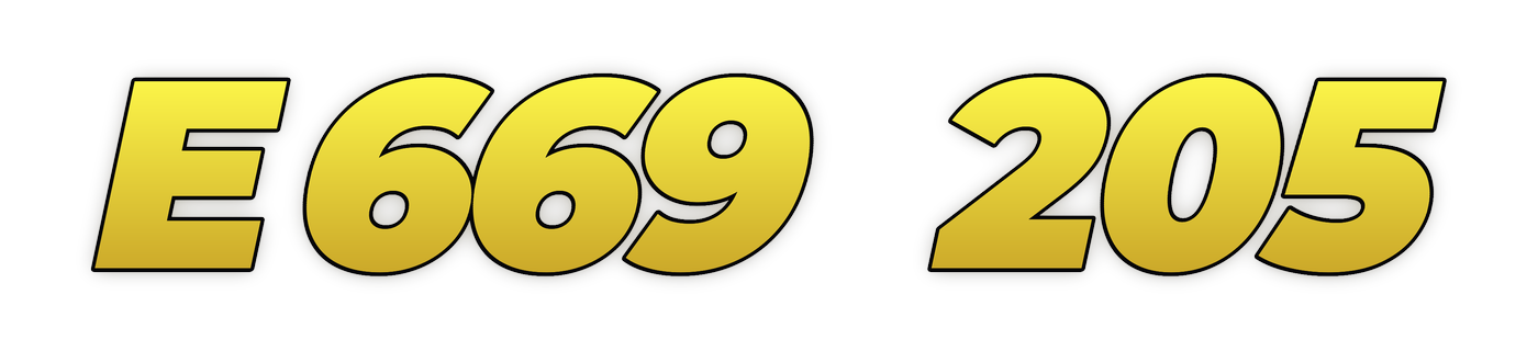 e669 205